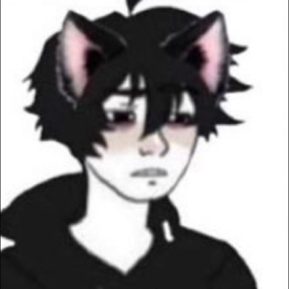 Meet your Posher, Harley - Picture 1 of 1